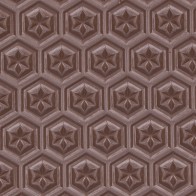 Astrostar zool plaat