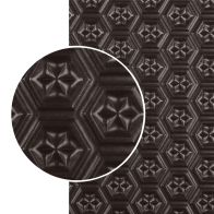 Astrostar zool plaat