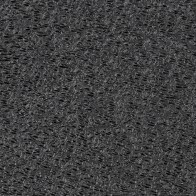 Anna zool plaat groot formaat